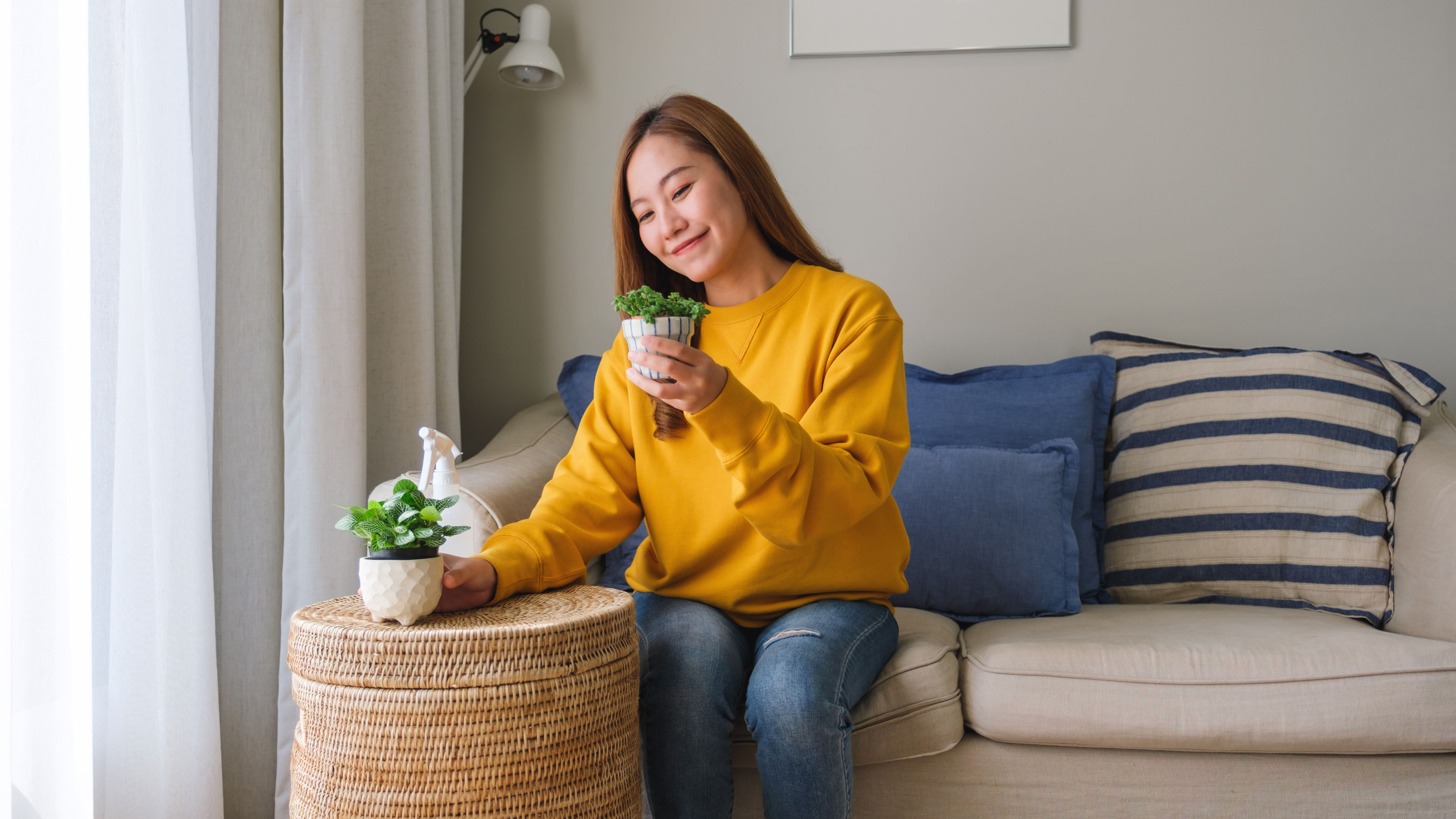 A beautiful young woman taking care and watering houseplants with plant mister spray at home. 