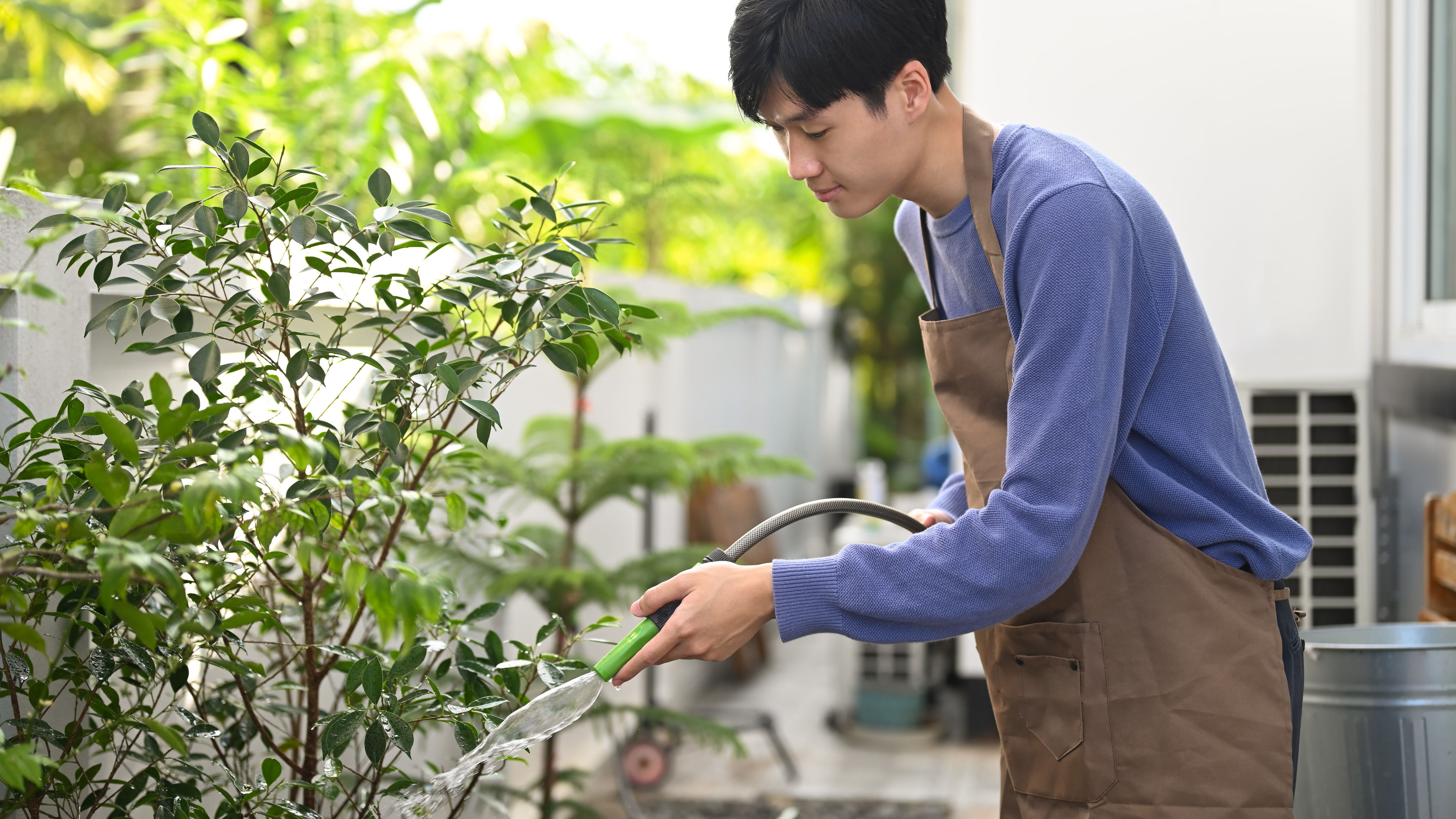 Man watering Plants