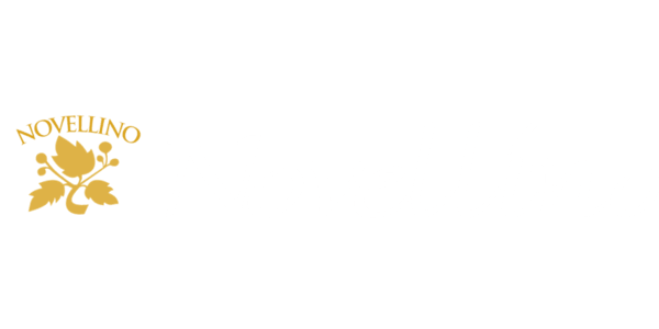 Novellino brand logo